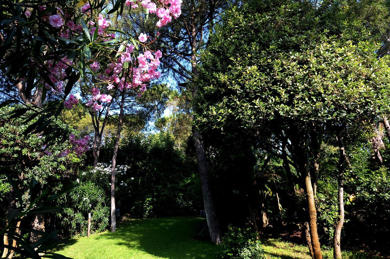Punta Molino Beach Resort & Thermal Spa Ischia Extérieur photo